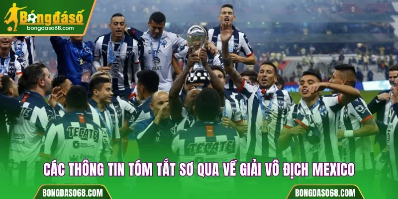 Các thông tin tóm tắt sơ qua về giải vô địch Mexico