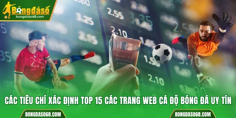 Các tiêu chí xác định top 15 các trang web cá độ bóng đá uy tín