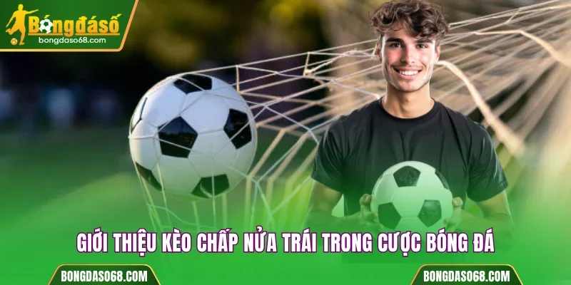 Giới thiệu kèo chấp nửa trái trong cược bóng đá