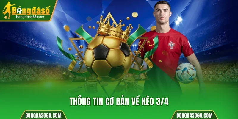 Thông tin cơ bản cần biết về kèo 3/4